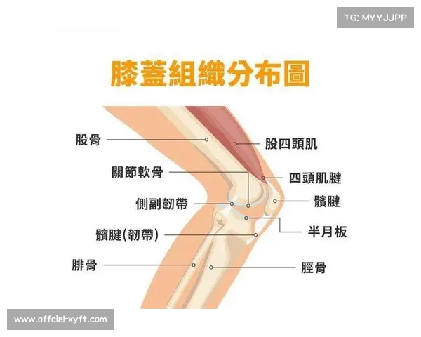德凯特拉雷半月板严重受损，或需手术长期休养